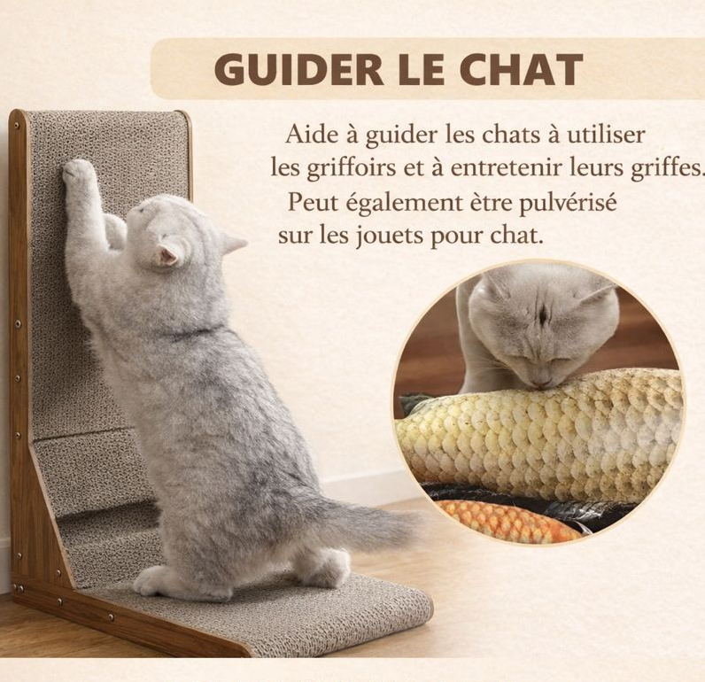 Spray naturel à base de vigne argentée