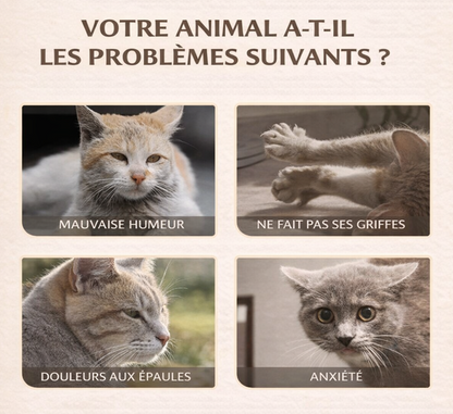 Spray naturel à base de vigne argentée