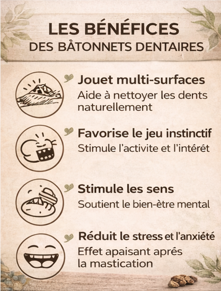 5 Soins Dentaires Naturels pour Chats – à base de vigne argentée