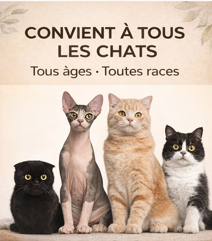 5 Soins Dentaires Naturels pour Chats – à base de vigne argentée