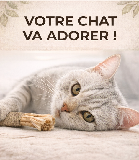 5 Soins Dentaires Naturels pour Chats – à base de vigne argentée