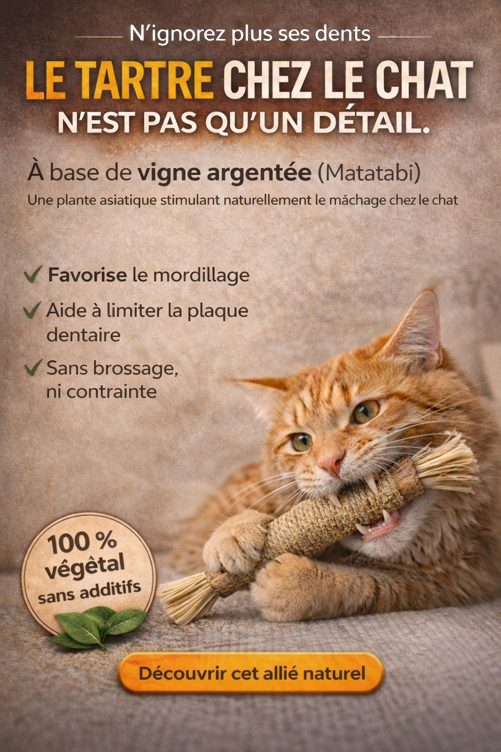 5 Soins Dentaires Naturels pour Chats – à base de vigne argentée