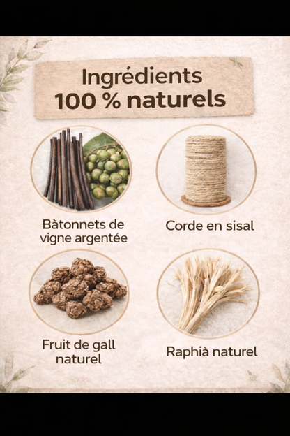 5 Soins Dentaires Naturels pour Chats – à base de vigne argentée